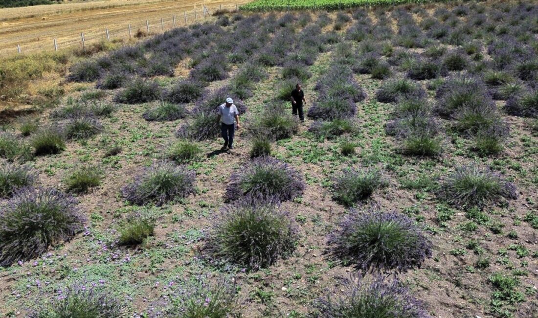 BİLECİK (AA) – Bilecik'in Bozüyük ilçesinde 26 yıl özel sektörde