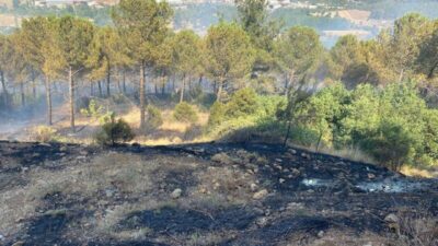 BALIKESİR (AA) – Balıkesir'in Dursunbey ilçesinde arazide başlayıp ormana sıçrayan