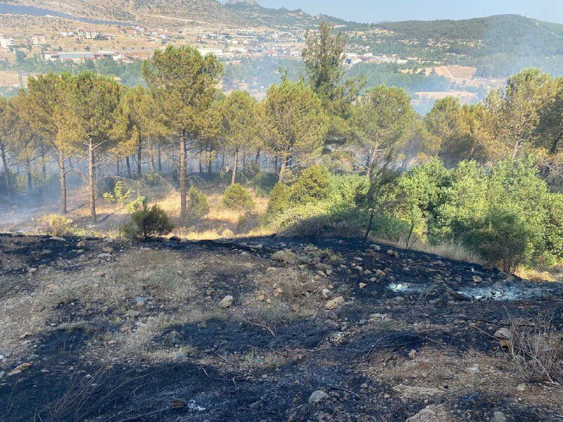 BALIKESİR (AA) – Balıkesir'in Dursunbey ilçesinde arazide başlayıp ormana sıçrayan