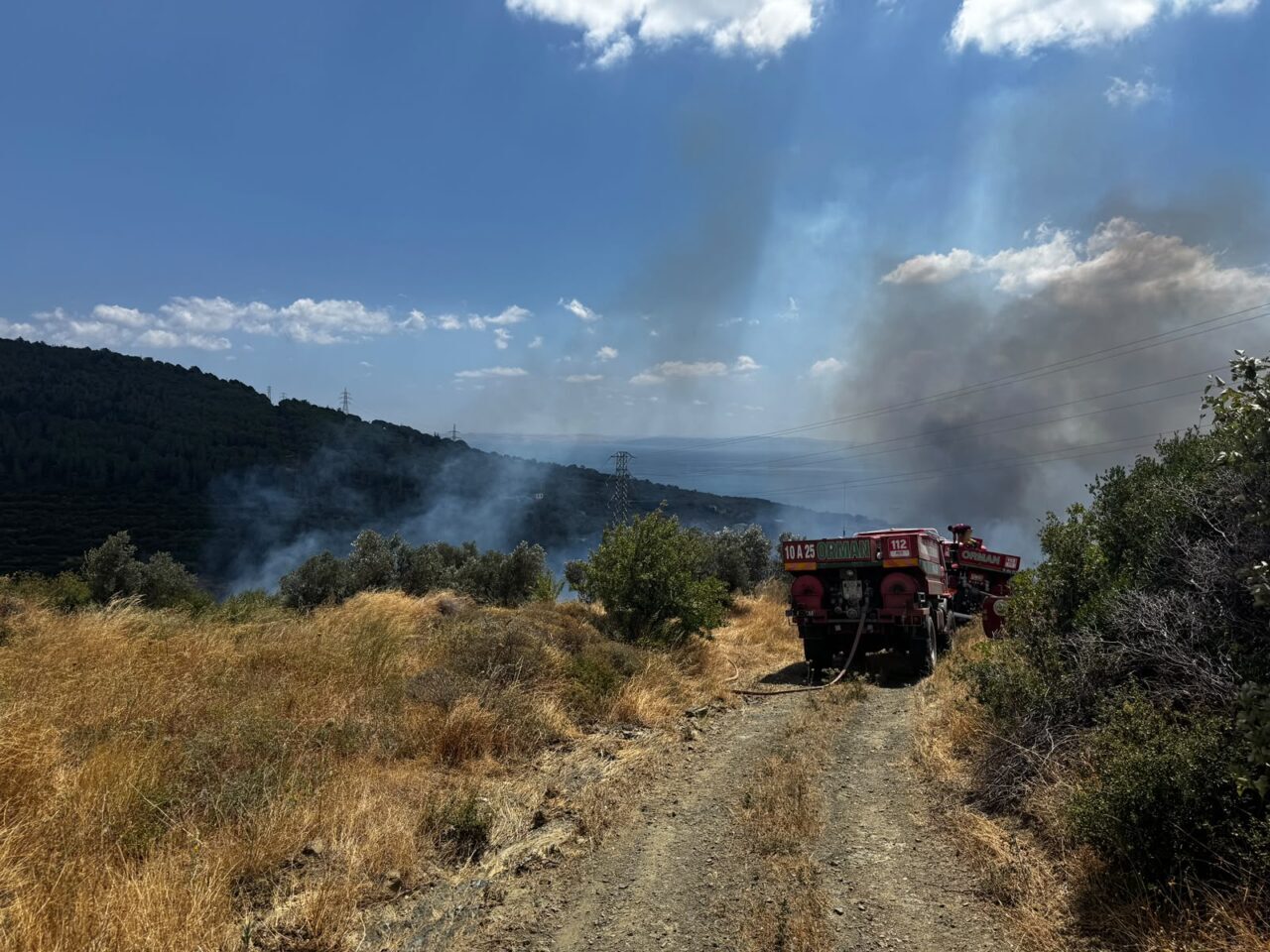BALIKESİR (AA) – Balıkesir'in Erdek ilçesinde makilik ve zeytinlik alanda