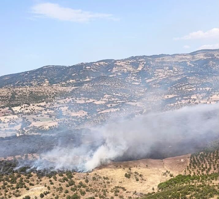 BALIKESİR (AA) – Balıkesir'in Sındırgı ilçesindeki orman yangınına havadan ve