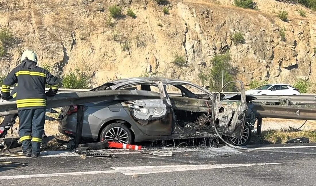 BİLECİK (AA) – Bilecik'in Bozüyük ilçesinde bariyerlere çarparak alev alan
