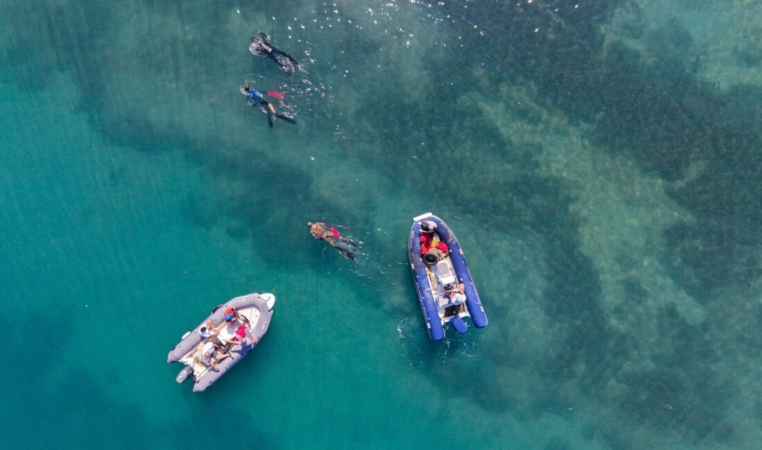 MUĞLA (AA) – Muğla'nın Bodrum ilçesinde dalgıçlar deniz dibi temizliği