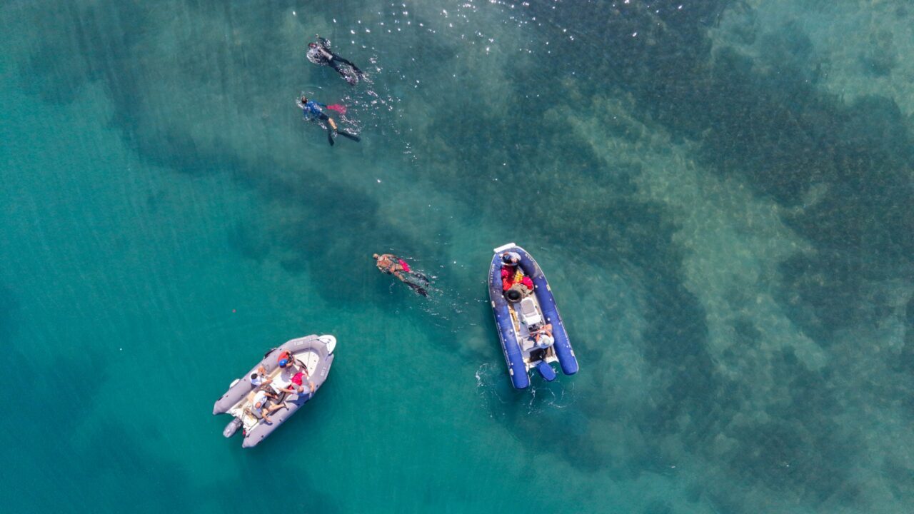 MUĞLA (AA) – Muğla'nın Bodrum ilçesinde dalgıçlar deniz dibi temizliği