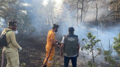 BOLU (AA) – Bolu'nun Göynük ilçesinde ormanlık alanda çıkan yangın