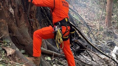 BOGOTA (AA) – Brezilya'nın Rio de Janeiro kentinde ormanlık alana