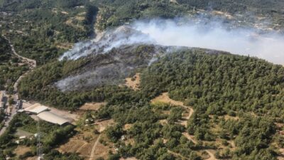 BURSA (AA) – Bursa'nın Kestel ve Yıldırım ilçelerinde 3 farklı