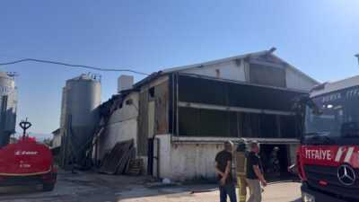 BURSA (AA) – Bursa'nın Mudanya ilçesinde bir tavuk çiftliğinde çıkan
