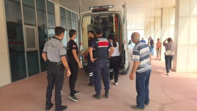 BURSA (AA) – Bursa’nın Orhangazi ilçesinde İznik Gölü’nün Dutluca sahilinde