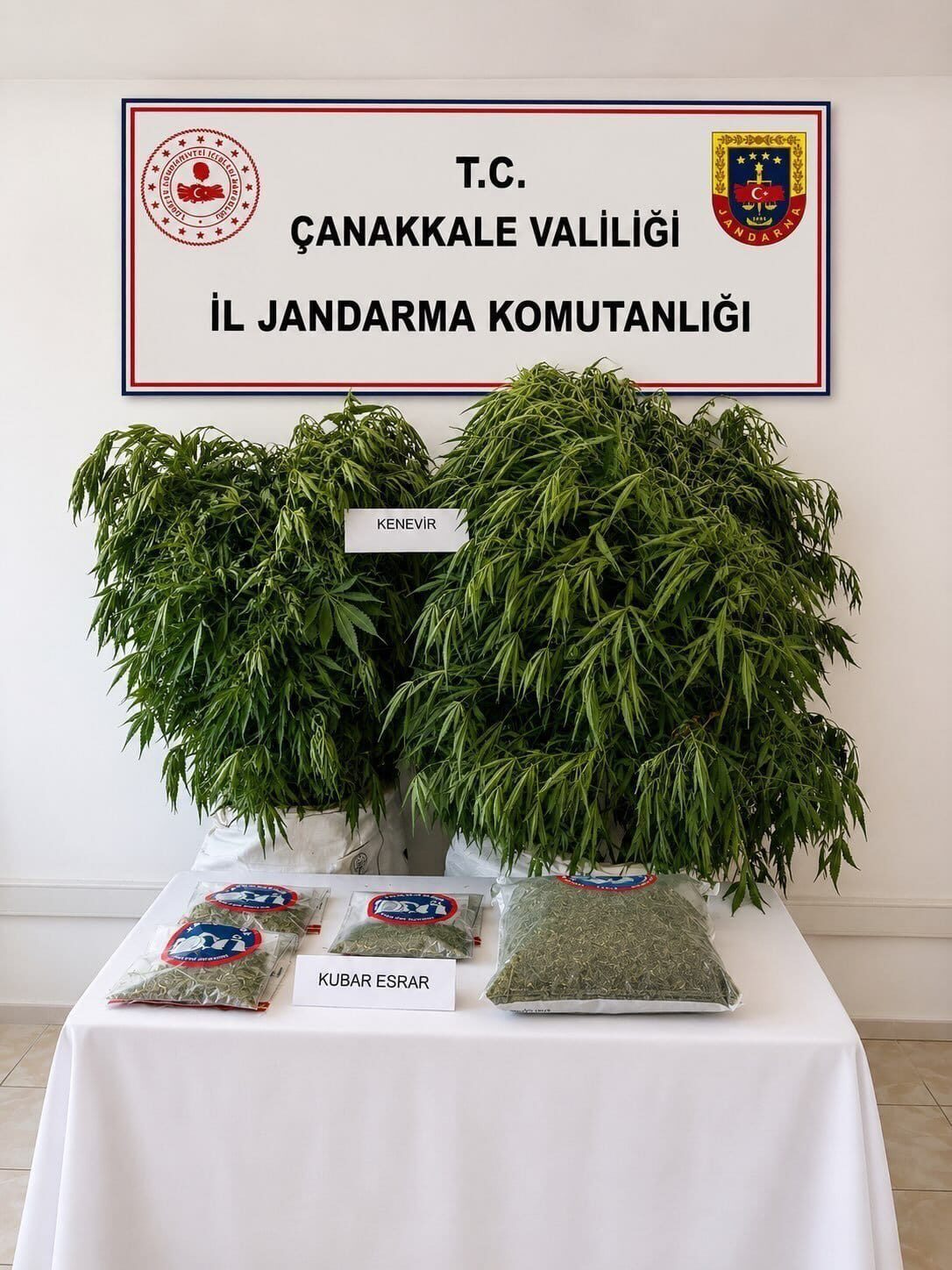 ÇANAKKALE (AA) – Çanakkale'de jandarmanın temmuz ayında düzenlediği uyuşturucu operasyonlarında