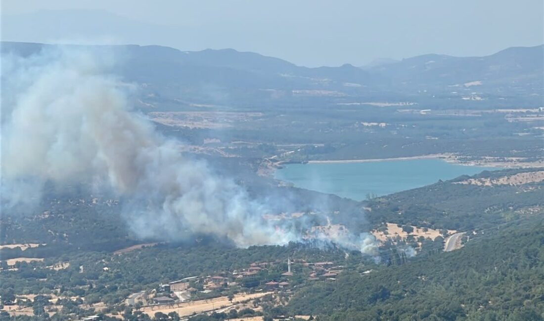 ÇANAKKALE (AA) – Çanakkale'nin Ayvacık ilçesinde zirai alanda çıkan yangına