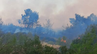 ÇANAKKALE (AA) – Çanakkale'nin Ezine ilçesinde ormanlık alanda çıkan yangına,