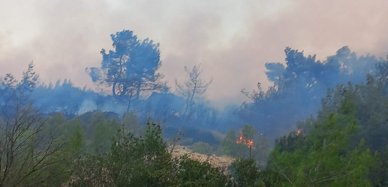 ÇANAKKALE (AA) – Çanakkale'nin Ezine ilçesinde ormanlık alanda çıkan yangına,