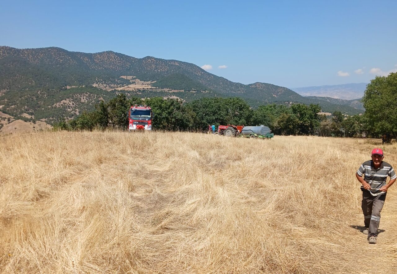 ÇORUM (AA) – Çorum'un Dodurga ilçesinde meyve bahçelerinin bulunduğu alana