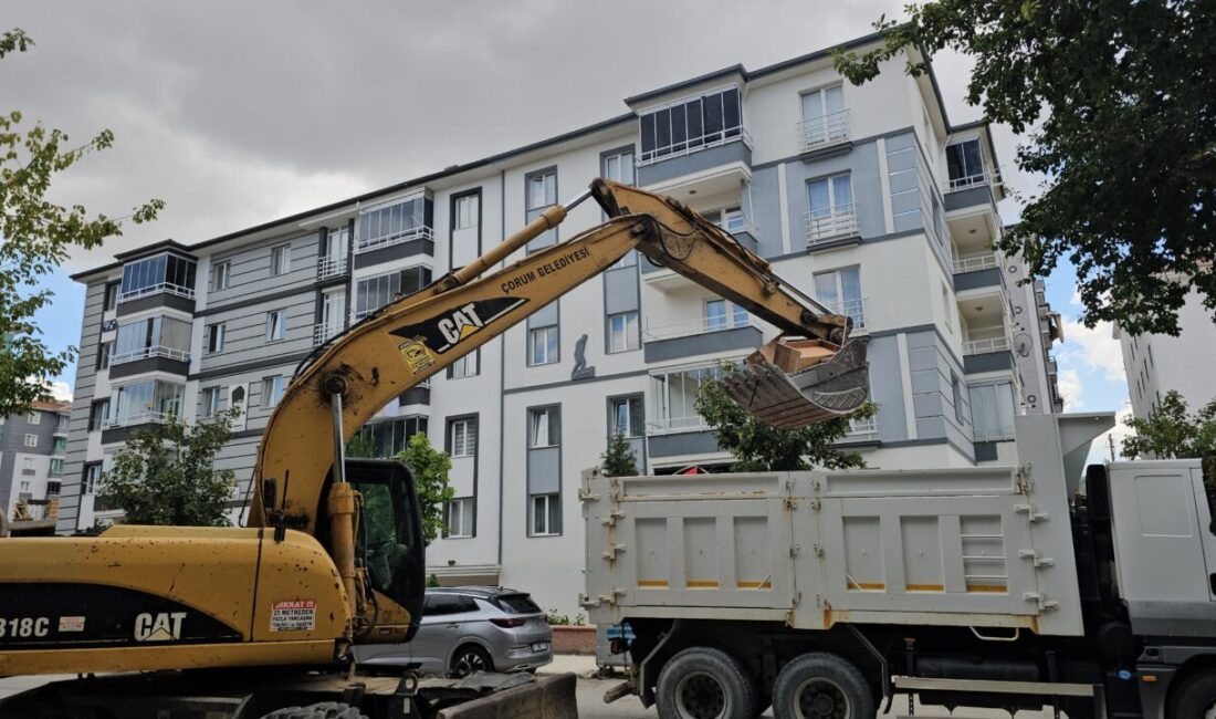ÇORUM (AA) – Çorum’da kötü koku nedeniyle şikayet edilen bir