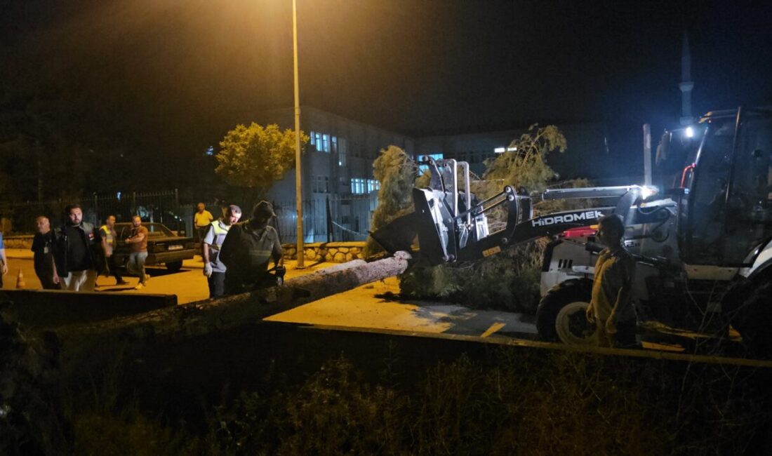 ÇORUM (AA) – Çorum’da rüzgarın etkisiyle devrilen çam ağacı, park