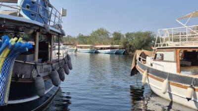 MUĞLA (AA) – Muğla'daki Dalyan Kanalı ve Köyceğiz Gölü'nde teknelere