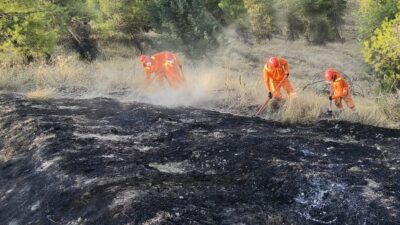 DENİZLİ (AA) – Denizli'nin Pamukkale ilçesinde ormanlık alanda çıkan yangın,
