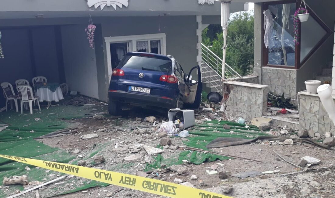 DÜZCE (AA) – Düzce'nin Gölyaka ilçesinde bir bahçe duvarını yıkarak