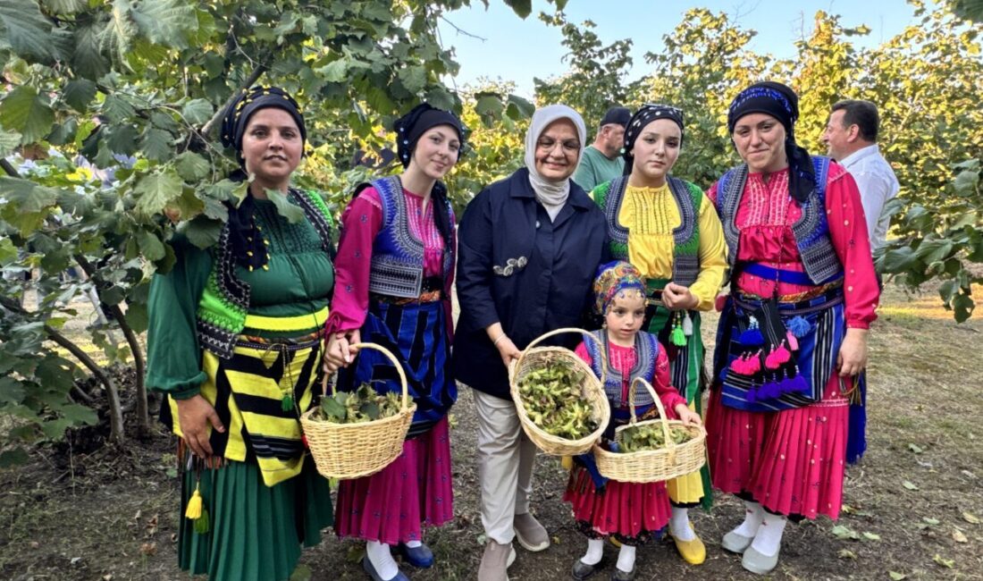 - Düzce Valisi Mehmet Makas:
- "Bu sene tarım müdürlüğümüzün yapmış