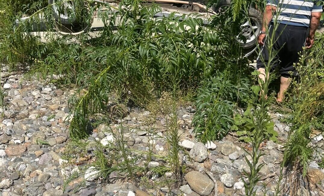 DÜZCE (AA) – Düzce'de otomobilin şarampole devrilmesi sonucu araçta sıkışan