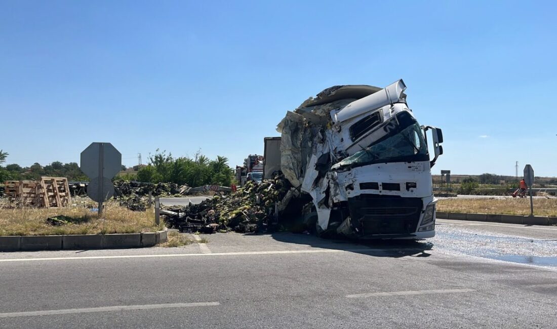 EDİRNE (AA) – Edirne'nin Havsa ilçesinde tırın devrilmesi sonucu kara