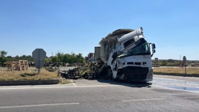 EDİRNE (AA) – Edirne'nin Havsa ilçesinde tırın devrilmesi sonucu kara
