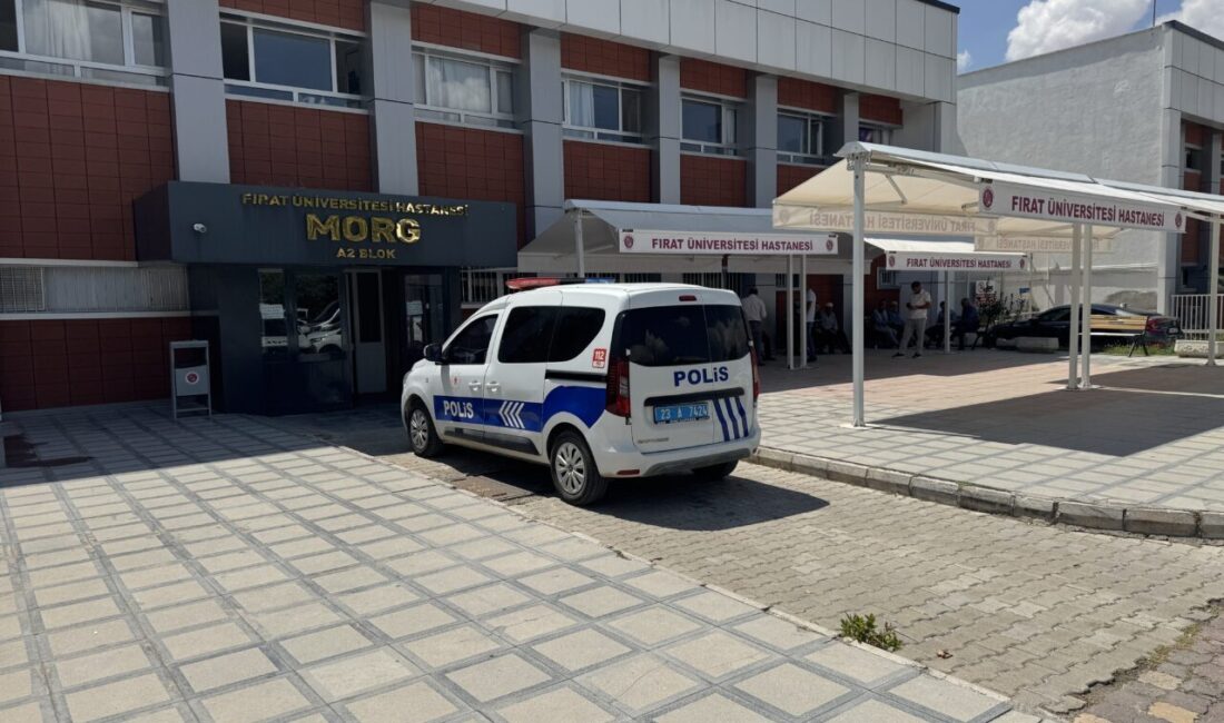 ELAZIĞ (AA) – Elazığ'da ağıla giren eşini kurt sanarak öldürdüğünü