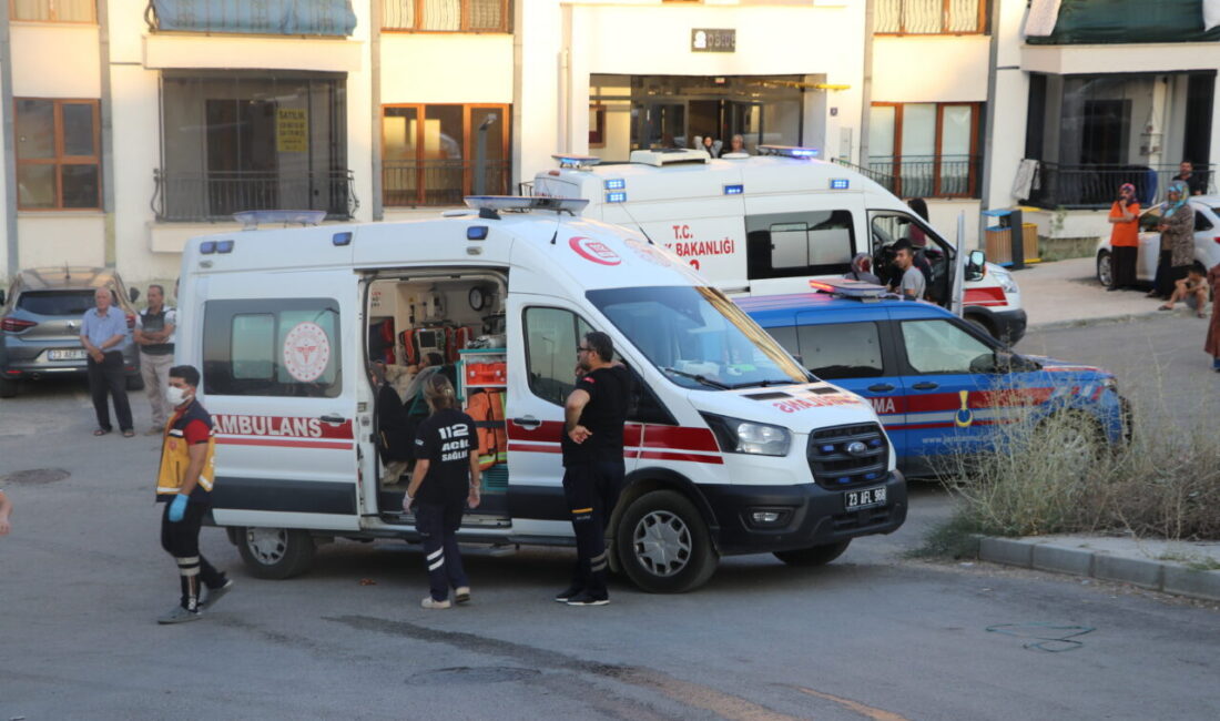 ELAZIĞ (AA) – Elazığ'da apartman dairesinde çıkan yangında 2'si itfaiye