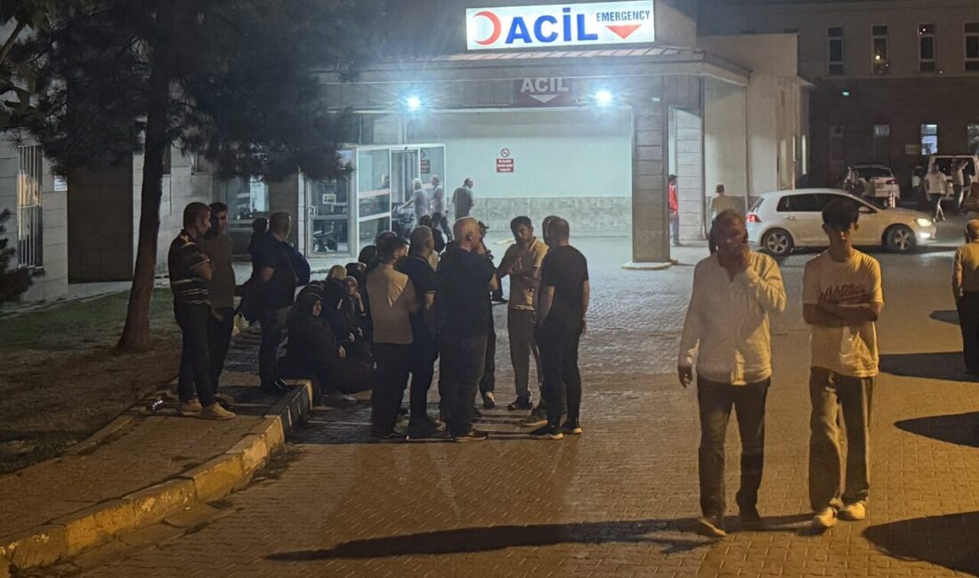 ERZURUM (AA) – Erzurum'un Oltu ilçesinde serinlemek için girdiği çayda