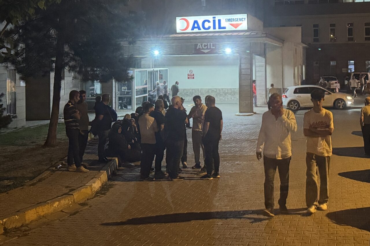 ERZURUM (AA) – Erzurum'un Oltu ilçesinde serinlemek için girdiği çayda