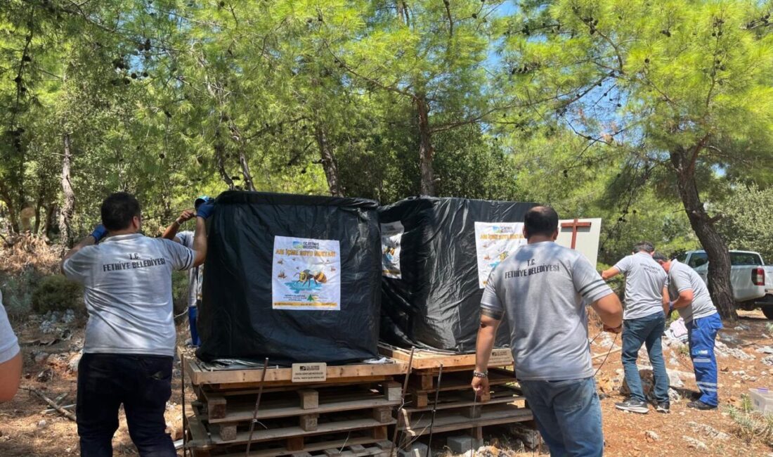 MUĞLA (AA) – Muğla'nın Fethiye ilçesinde, ormanlık alanlarda arıların güvenli