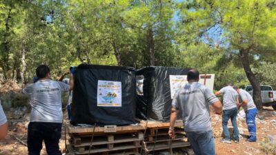MUĞLA (AA) – Muğla'nın Fethiye ilçesinde, ormanlık alanlarda arıların güvenli