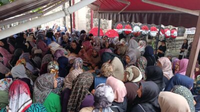 GİRESUN (AA) – Giresun'un Görele ilçesinde debisi yükselen derede akıntıya