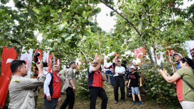 GİRESUN (AA) – Giresun'da yeni sezon fındık hasadı için etkinlik