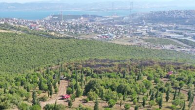 YANGININ KONTROL ALTINA ALINMASI EKLENDİ