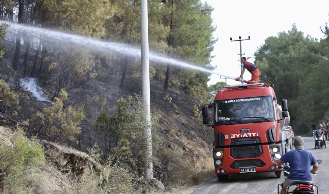 KONTROL ALTINA ALINDIĞI BİLGİSİ VE DETAYLAR EKLENDİ
