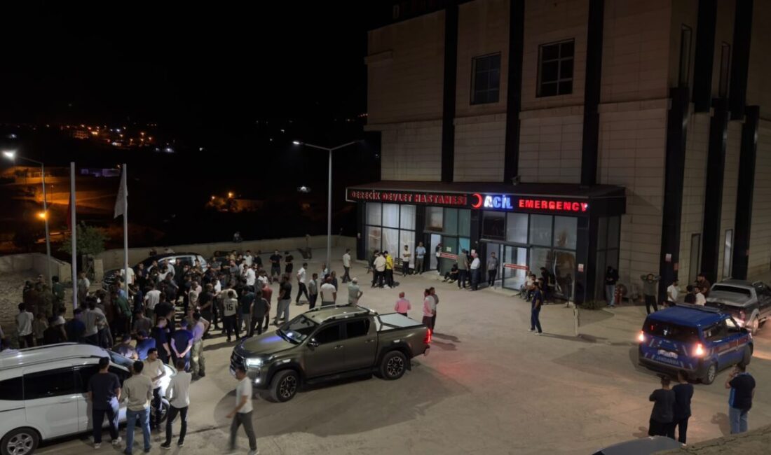HAKKARİ (AA) – Hakkari'nin Derecik ilçesinde anahtarını unuttuğu evine girebilmek