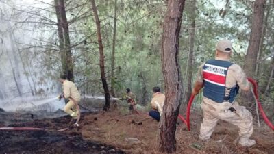 HATAY (AA) – Hatay'ın Yayladağı ilçesinde çıkan orman yangını söndürüldü.