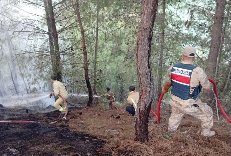 HATAY (AA) – Hatay'ın Yayladağı ilçesinde çıkan orman yangını söndürüldü.
