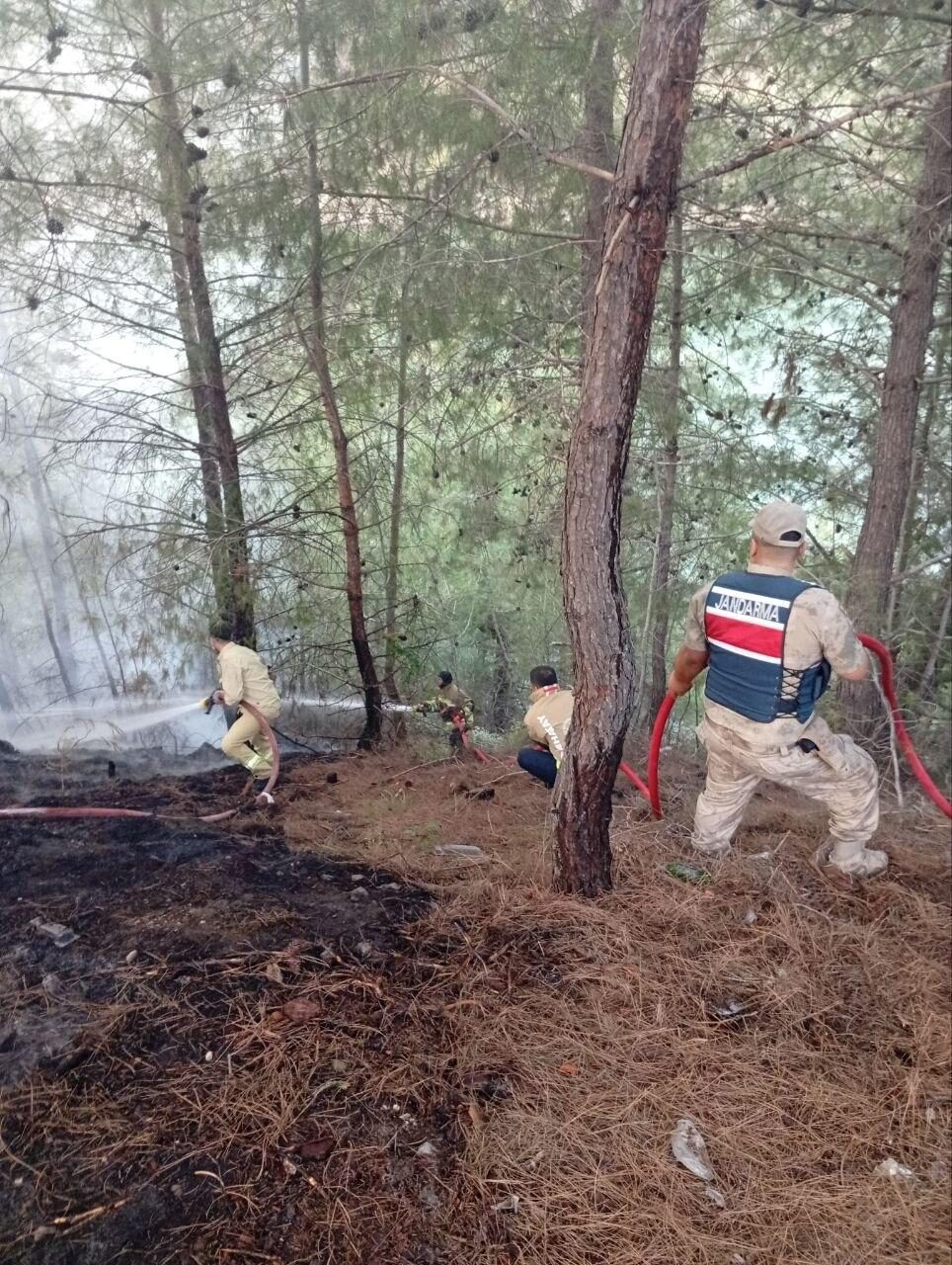 HATAY (AA) – Hatay'ın Yayladağı ilçesinde çıkan orman yangını söndürüldü.