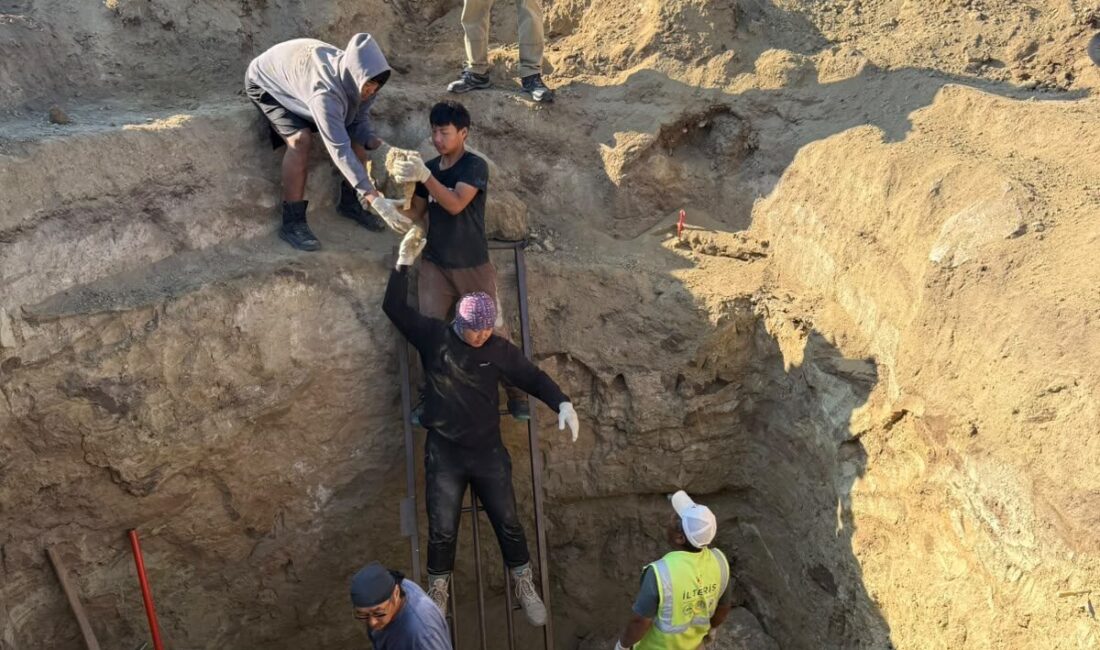 - TİKA desteğiyle gerçekleştirilen projede, Moğolistan'daki Hun kurganlarında bulunan iskeletin