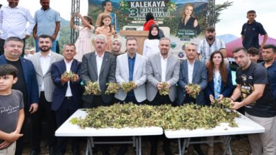 KAHRAMANMARAŞ (AA) – Kahramanmaraş'ın Onikişubat ilçesinde, kentin "Karadeniz'i" olarak anılan