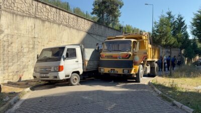 KARABÜK (AA) – Karabük'te anne ve oğlunun sitenin bahçesinde biriktirdiği