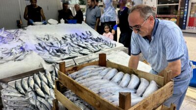 SİNOP (AA) – Türkiye'nin önemli balıkçılık kentlerinden Sinop'ta, küçük ölçekli