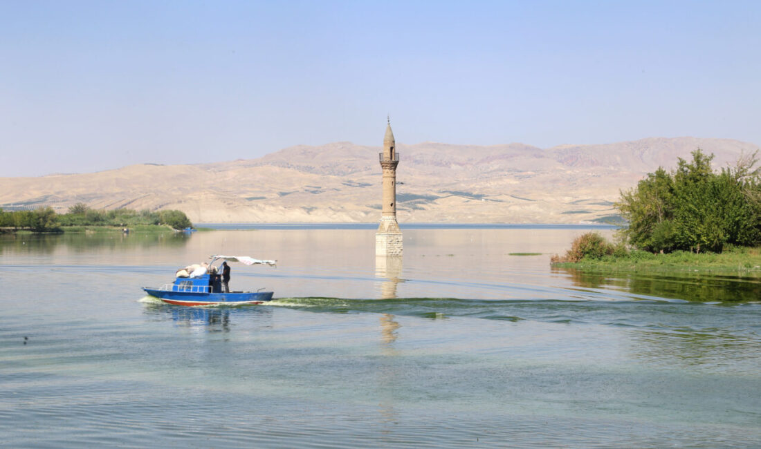 MALATYA (AA) – Malatya'nın Battalgazi ilçesindeki Karakaya Baraj Gölü'nde su