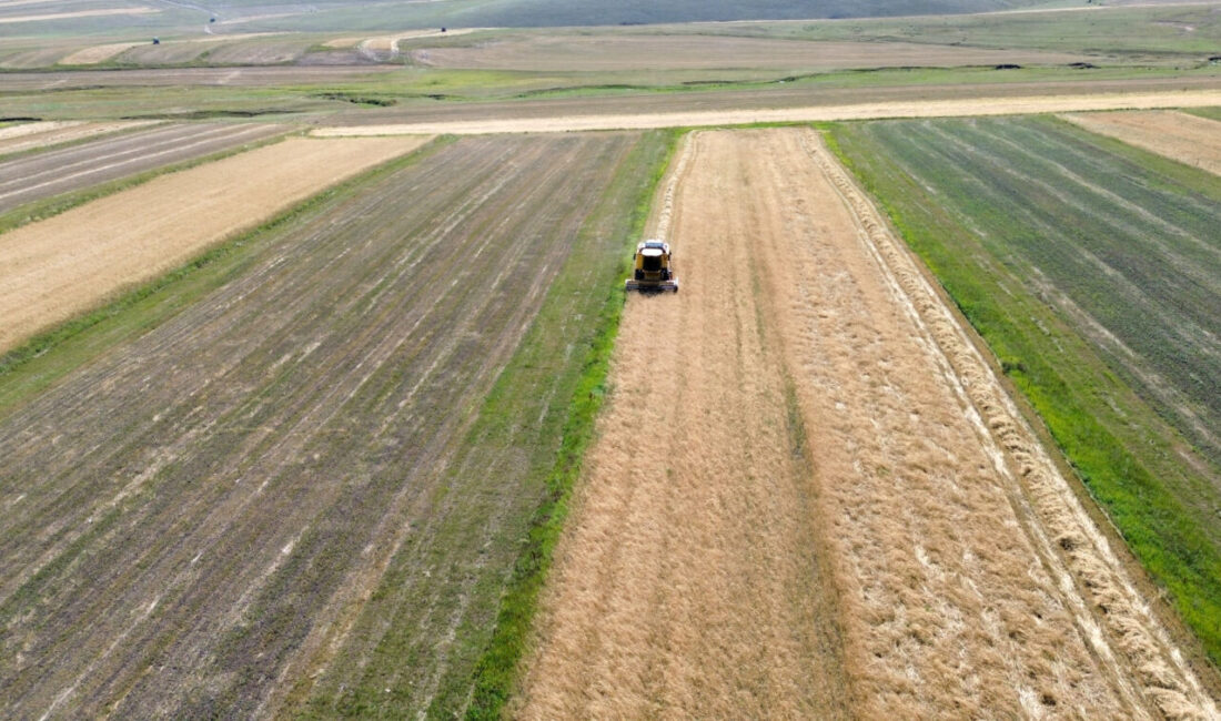 KARS (AA) – Türkiye'nin en yüksek yerleşim yerlerinden biri olan,