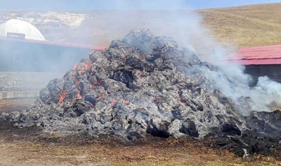 KARS (AA) – Kars'ın Sarıkamış ilçesinde çıkan yangında yaklaşık 900