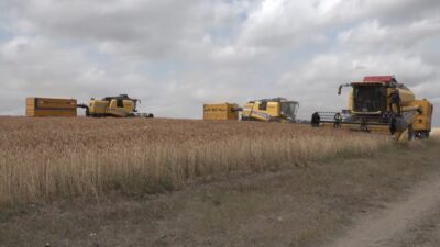 KARS (AA) – Kars'ta Tarım ve Orman Bakanlığının destekleriyle ekimi