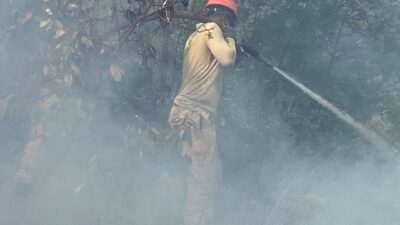 ANTALYA (AA) – Antalya'nın Kaş ilçesinde ormanlık alanda çıkan yangına
